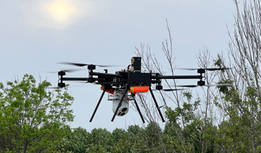 20241107165338668726